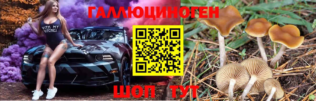 Галлюциногенные грибы GOLDEN TEACHER Тара